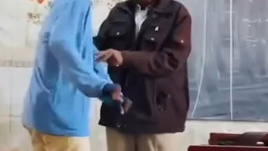 293f262d 2e4d 4da0 a553 d6ce6ef58f21