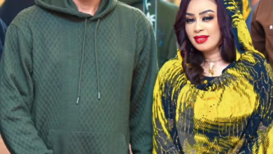 605690206 2264669310674980 7135039512301702738 n