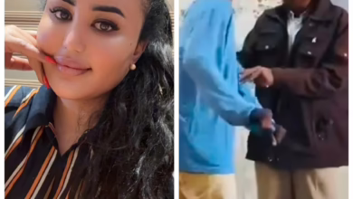 a98cfcf0 3499 4618 ab47 a3f8f879545e