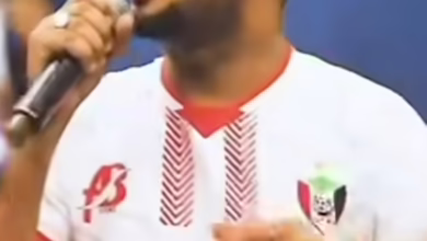 cfb8e194 cf10 48cc 8fee d25079544073