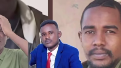 f4d23546 bd89 4648 9d8a 4a459d4a93d2