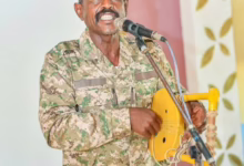 محمد النصري