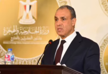 وزير الخارجية المصري مصر