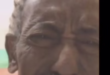 378cb02b cb64 4a25 8246 2f395ee2aa81