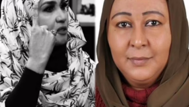 3c352b1e 08a9 473e b928 01df6f4238a7