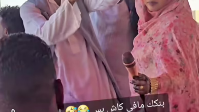 3fa9fc1b f13d 4d5e 8bf0 6478224d9fda