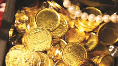 43888120170511081601164