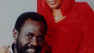 616812945 26023272327298148 5015485224558448394 n