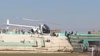 616848661 26018005931163229 572916140996324201 n