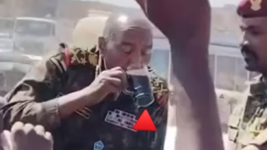 624391744 4379643438974462 7481543444782587397 n