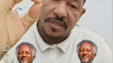 d2d07de9 4671 47a1 a83d a5e4d87756dd