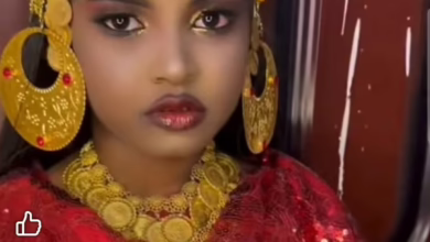 d5ac7dd4 6036 409f b9a9 a3338a923ea7