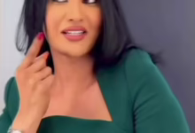 d5ebc09c e540 44bb b925 6e7dde2b9509