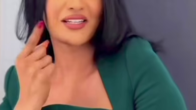 d5ebc09c e540 44bb b925 6e7dde2b9509