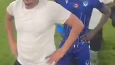 d6272581 bb3f 4981 8704 c9e87477642e