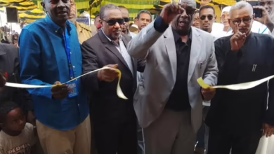 افتتاح مركز تنمية المرأة بالحصاحيصا بعد إعادة تأهيله بدعم أممي 8 1771327072636