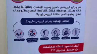 الحجر الصحي القومي – قطاع البحر الأحمر يستعرض خطة التصدي لفيروس ماربورغ بنقاط الدخول 3 1771330389387