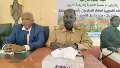 ورشة لتعزيز تبني المحاصيل المعززة غذائياً لصغار المزارعين بسنار 2 1771336320166