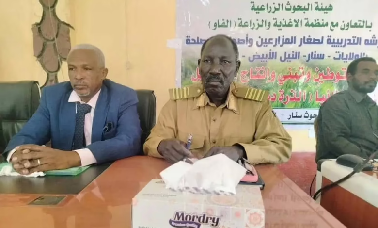 ورشة لتعزيز تبني المحاصيل المعززة غذائياً لصغار المزارعين بسنار 1 1771336320166