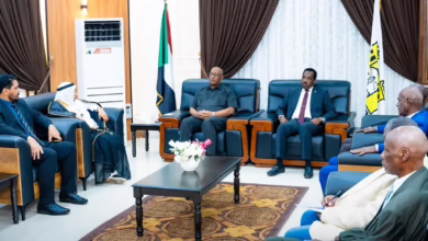 وزير الموارد البشرية يبحث مع والي البحر الاحمر التعاون في مجالات رعاية الأشخاص ذوي الإعاقة 2 1771745757120