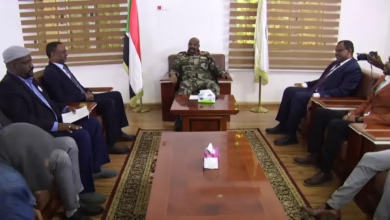 والي الشمالية يبحث مع وكيل وزارة الصحة تدابير مكافحة حمى الضنك 6 1771763326718