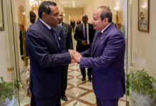 رئيس الوزراء يعقد جلسة مباحثات مشتركة مع نظيره رئيس الوزراء المصري 34 1772117482625