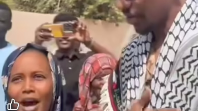 329ec7c7 4203 4827 83e0 71a60f30d12e