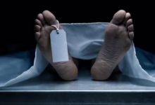 5e6f8dfe 61ab 4670 b6d1 1fde9850bdba 16x9 1200x676