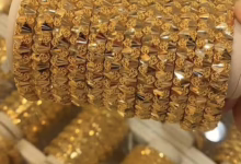 628263865 878692408392883 8726555116871031123 n