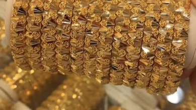 628263865 878692408392883 8726555116871031123 n