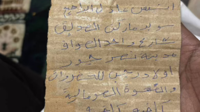 630988923 122284159166211691 9159304205292862949 n