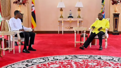 637142968 1232405152203104 1417108773691297666 n