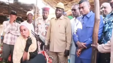 6932371a b98e 467d a823 c97cb5b42d96