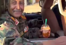 7e33936a cfdf 4619 931b a8280d3be2c7