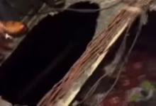 910654fe d68d 4288 84d4 db11a0cb480e