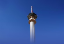 عرض 7 مسلسلات درامية و20 برنامجًا نوعيًا خلال رمضان 49 9515394