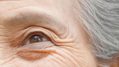 a1835882 5942 439c 8444 531b9c6e6749 16x9 1200x676