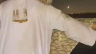 d29b5ba5 b353 49ce b9e2 650ca91e3b48