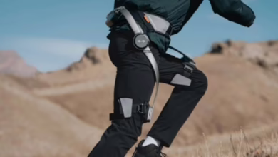 d307a8c7 875b 47b4 a6e9 83b85343f30f 16x9 1200x676