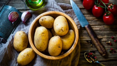 fc81029f baff 4c55 b3f8 5d974130e481 16x9 1200x676 1