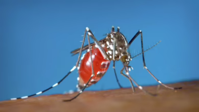 الصحة العالمية: أمراض مدارية مهملة تهدّد 78 مليون شخص في شرق المتوسط 2 public