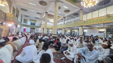 سيدة سنهوري 750x430 1