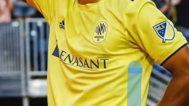 هاني مختار2