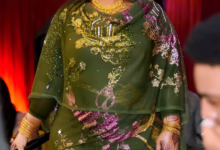 هدى عربي اخر ظهور