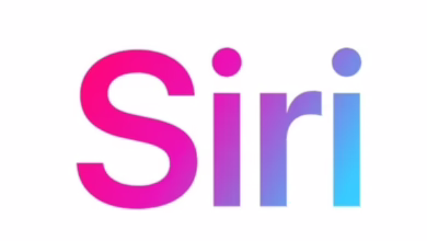 0affa503 bb3f 4197 9c3c e34fbe3f52f2 16x9 1200x676