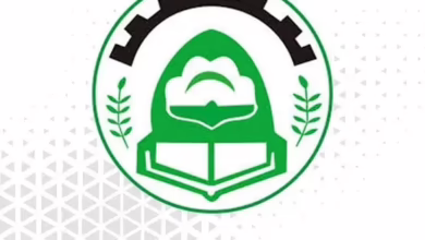 قرار بإيقاف الحفلات الغنائية بمعارض البيع المخفض بالجزيرة 8 1772969659437