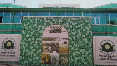 إنذار قانوني بإزالة التعديات على منشآت الري بمشروع الجزيرة 2 1773657009203