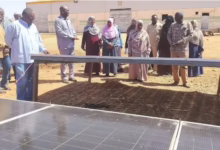 مدير زراعة الخرطوم يتفقد مشروع السليت الزراعي عقب اكتمال أعمال الصيانة والتأهيل 33 1773665861750