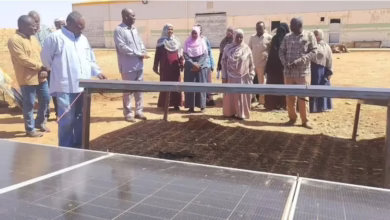 مدير زراعة الخرطوم يتفقد مشروع السليت الزراعي عقب اكتمال أعمال الصيانة والتأهيل 2 1773665861750