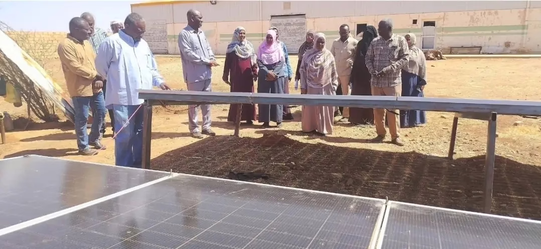مدير زراعة الخرطوم يتفقد مشروع السليت الزراعي عقب اكتمال أعمال الصيانة والتأهيل 10 1773665861750